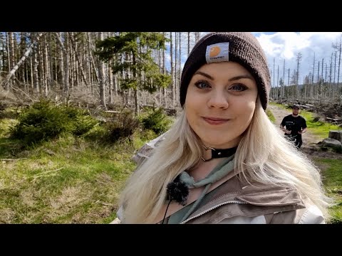 🌲 Wohin des Weges #15 - Oderteich [HARZ]