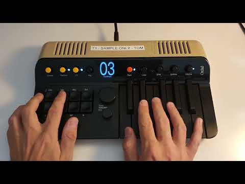 My Favourite Orchid Features - Tom Cosm