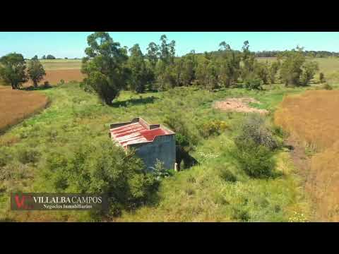 Chacra de 7 has en ruta 86 paraje Pantanoso  Sauce, Canelones. Villalba Campos.