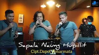 Download lagu SAPALA NAUNG HU PILLIT - NAGABE TRIO (CIPT. DAPOT SIMARMATA) mp3