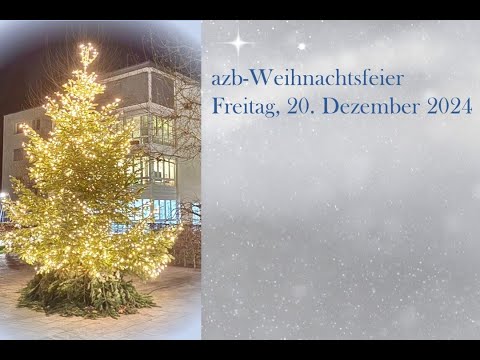 Weihnachtsvideo 2024