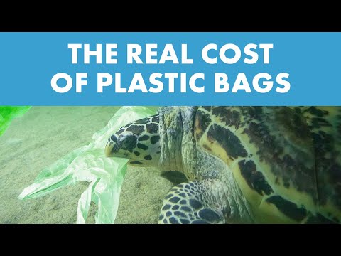 SeaWorld Explains How California's Plastic Bag Ban Can Help Save The World