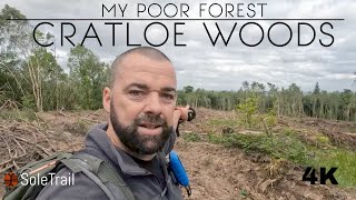 My Poor Forest is being Cut Down - My 18 Year Old Dogs Birthday - 4k - SoleTrail