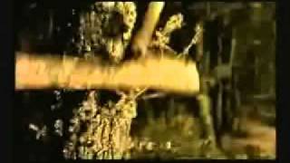 Moonspell Mr Crowley (plus lyrics).avi