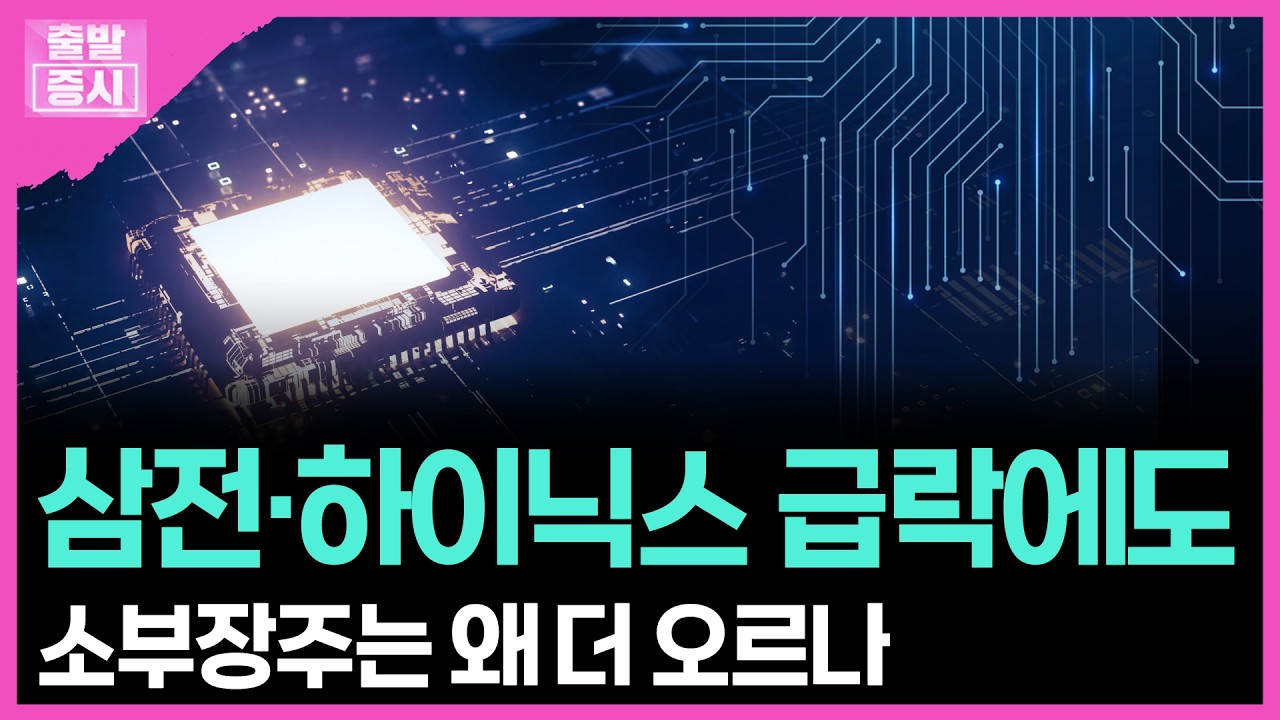 삼전·하이닉스 급락에도...소부장주는 왜 더 오르나 | 박정언 캐스터