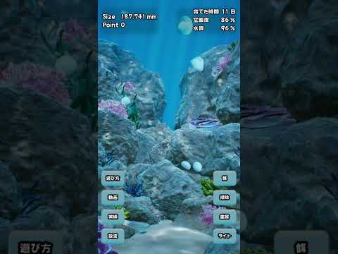 Jellyfish Life Simulation