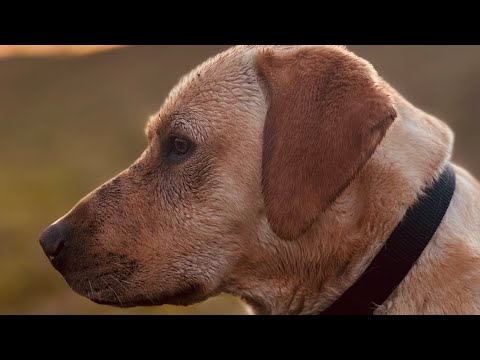 Abenteuerlicher Familienausflug zum Abenteuerspielplatz mit unseren Teddy! ☀️🚴‍♂️