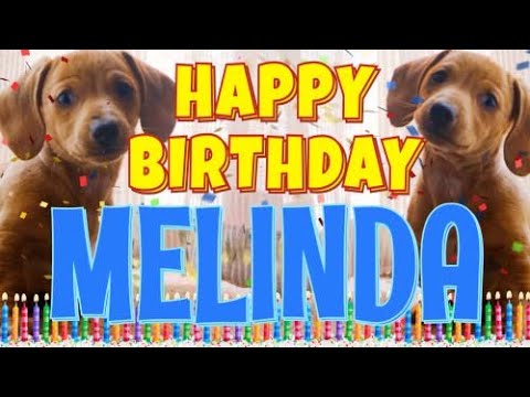 Happy Birthday Melinda! ( Funny Talking Dogs ) What Is Free On My Birthday