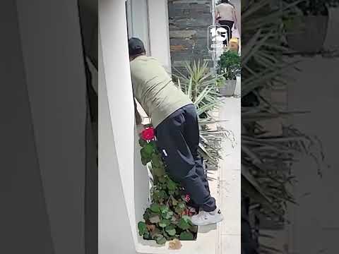 Les robaron durante los festejos y el perro del video se hizo viral