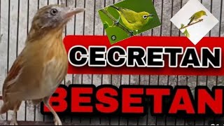 Download lagu Mp3 Terbaru Kombinasi Jenggot Mini Vs Jingjing Batu Kejepit mp3 Download lagu Mp3 Terbaru Kombinasi Jenggot Mini Vs Jingjing Batu Kejepit mp3