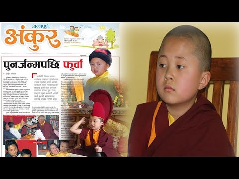 Tulku Karma Wanju Tamang ।। Furba lama ।। पुनर्जन्म लिएका फुर्वा ।। औतारी लामा ।।