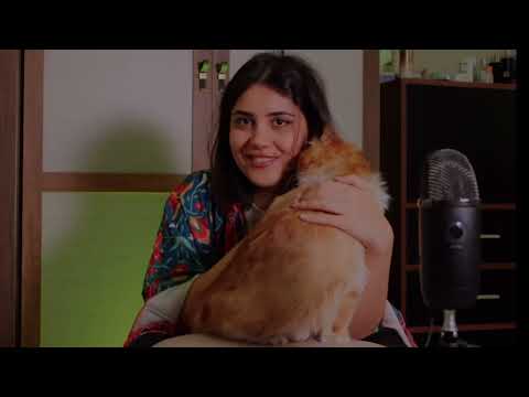 ASMR On My Cat تمشيط شعر القطقوط عسل اي اس ام ار