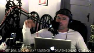 Joe Rogan Experience #173 - Peter Joseph