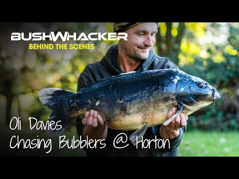 Chasing bubbling carp with Oli Davies - The Horton Complex