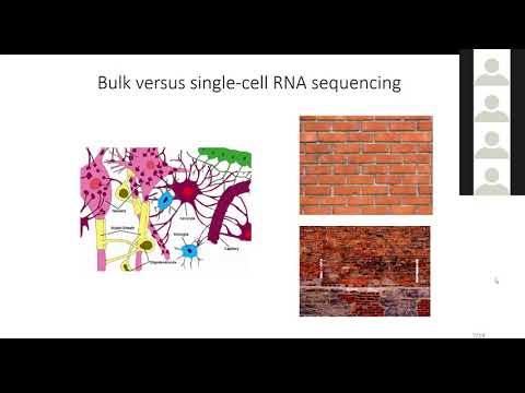Expression Recovery in Single Cell RNA Sequencing