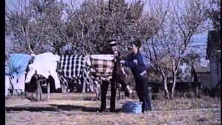 Paperback Hero (1973)