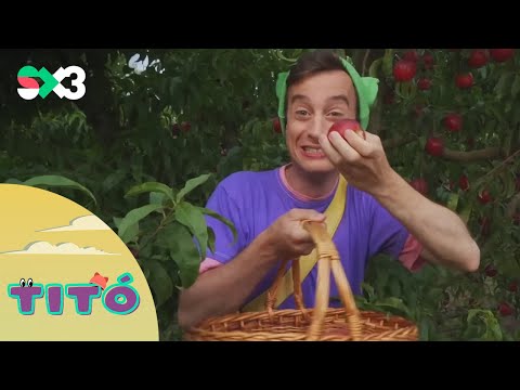 Excursió als presseguers (estiu) | Titó