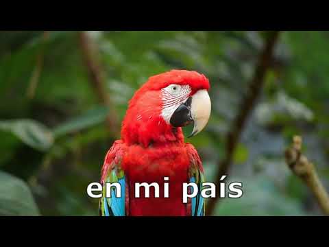 Honduras Canción y vida