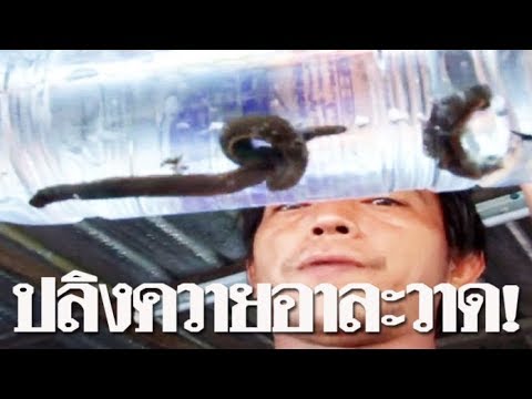 Tinctures แอลกอฮอล์แรง ที่จะซื้อในอูฟาเชื้อโรคหญิงใน