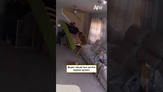 Maybe I should have put this together upstairs