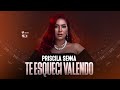 Te Esqueci Valendo - Priscila Senna (Áudio Oficial)