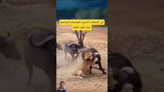 فيثواني الأخيرة المفاجآت الصادمة تنهي اللعبة#shorts