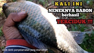 Download lagu RECORD!! FISHING FOR THE BIGGEST MONSTER NILEM FISH!! WITHIN SECONDS THE BAIT WENT DOWN AND WAS I... mp3