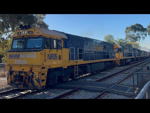 Pacific National Freight at Millswood | 3AM5 with 4 locos; NR85, NR112, NR51 & NR71