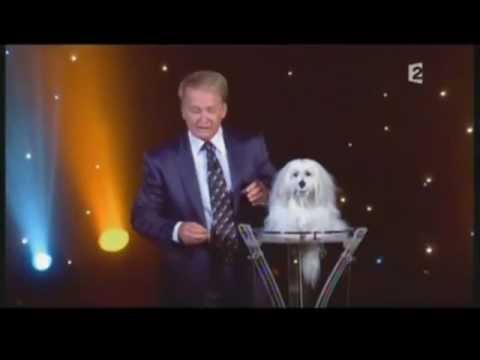 HB Art' Production vous présente cet artiste ventriloque