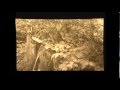 Seifritz on Protoplasm - Full Film