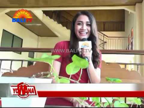YOWANA MAGZ - SANUR FIESTA 2018