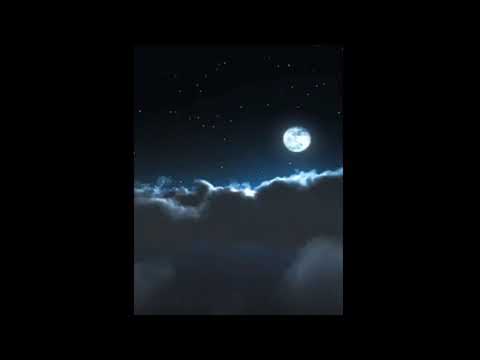 NAMBA x WANA STAY - SPINDAKUT