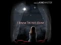 ALAN WALKER ALONE