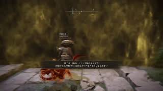 ELDEN RING　第２章　すこほぉーし
