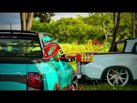 Só os profissionais (Vinicius Cavalcante,akazim,MC Mr.Bim) isso e desande rells