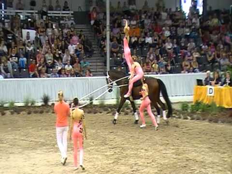Juniorteam Brakel DJMV Verden Finalkür