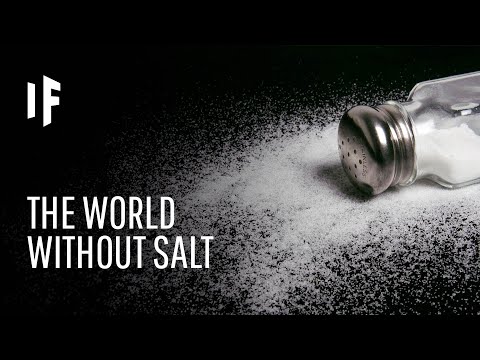 What If There Was No Salt in the World?