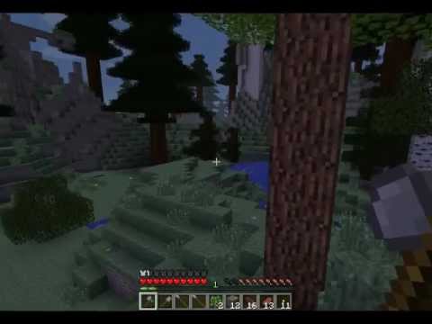 Terrafirmacraft - 1 Bears!