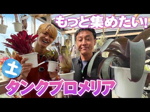 園芸 抗根茎バリア