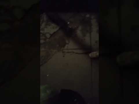 mi país bolivia cada vez es más peligroso la paz el alto ceja #motivation #humor #elaltobolivia