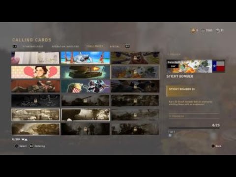 WW2 Nuclear Medal With NO NUKE Callling Card