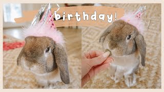 Cinnabun's 2nd Birthday! | Behind the Bun