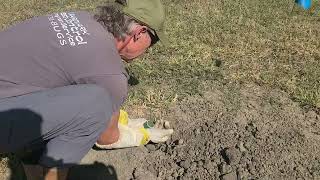 How to apply poison to Prairie Dogs