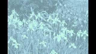 Gregorian Chant " Mass of The Blessed Virgin Mary " -  Introitus - Gaugeamus Omnes