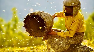 映画『ハニーランド 永遠の谷』本編映像