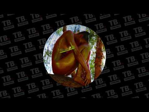 TB Premiere: Lee Foss & Ferreck Dawn feat. Alex Mills - The Void [Repopulate Mars]