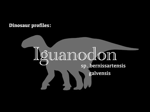 Dinosaur Profile: Iguanodon