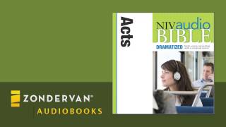 NIV Audio Bible