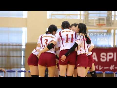 桜美林大学　女子バレーボール部 一部昇格