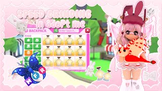 Speed Grinding In ADOPT ME! 😱2 HOUR Speed Grind! Aging Up MOONBEAM BUTTERFLIES 🦋 | 💕BlossomBunnyBeb💕